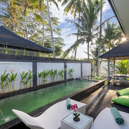 Capung Asri Eco Luxury Resort With Private Pool Villas Bedulu 外观 照片