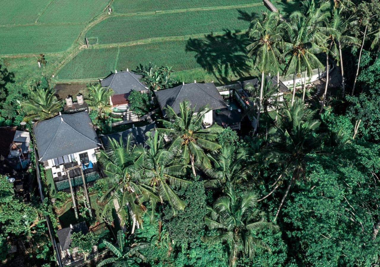 Capung Asri Eco Luxury Resort With Private Pool Villas Bedulu 外观 照片